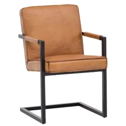 Polstermöbel|Küchenstühle*Pharao24 Industriestil Freischwinger Rhodos