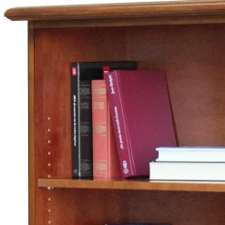 Pharao24 Klassisches Bücher Regal Cadruna><noscript><img width=