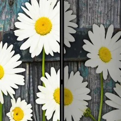 Pharao24 Landhaus Paravent Omharo><noscript><img width=