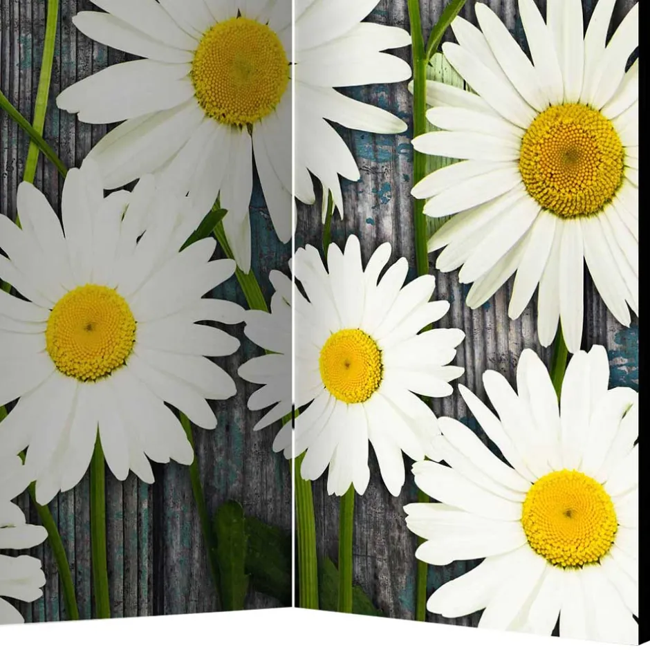 Pharao24 Landhaus Paravent Omharo> Raumteiler|Paravents