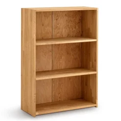 Pharao24 Massivholz Aktenregal Legancas> Massivholzregale|Standregale