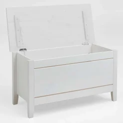 Truhen*Pharao24 Massivholztruhe Vilatata