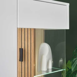 Stauraumvitrinen*Pharao24 Moderner Wohnzimmervitrinenschrank Saladd