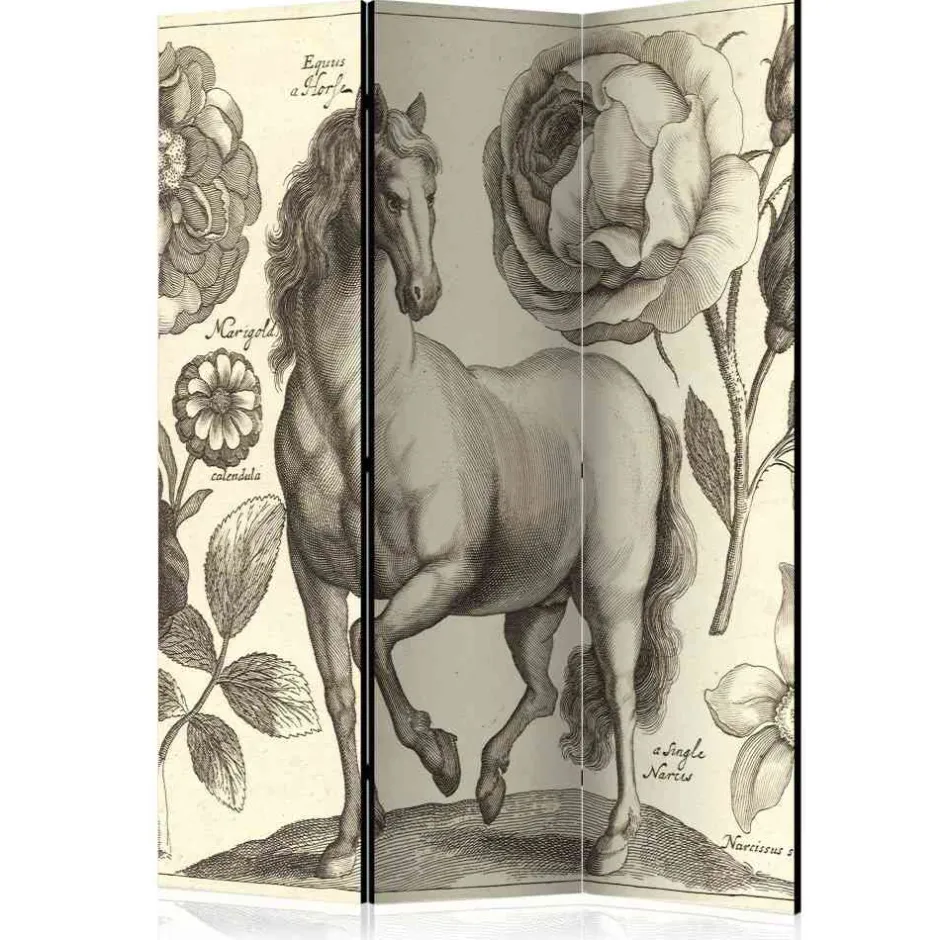 Paravents|Raumteiler*Pharao24 Paravent Berenice