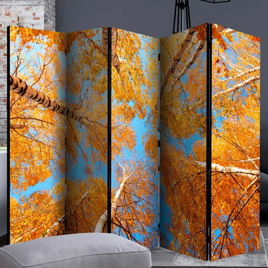 Pharao24 Paravent Duben> Paravents|Raumteiler