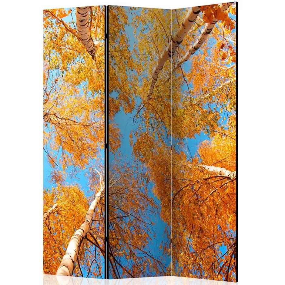 Pharao24 Paravent Duben> Paravents|Raumteiler