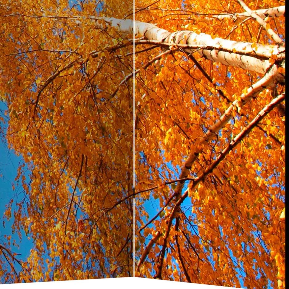 Pharao24 Paravent Duben> Paravents|Raumteiler