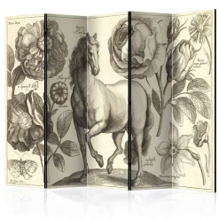 Paravents|Raumteiler*Pharao24 Paravent Edance