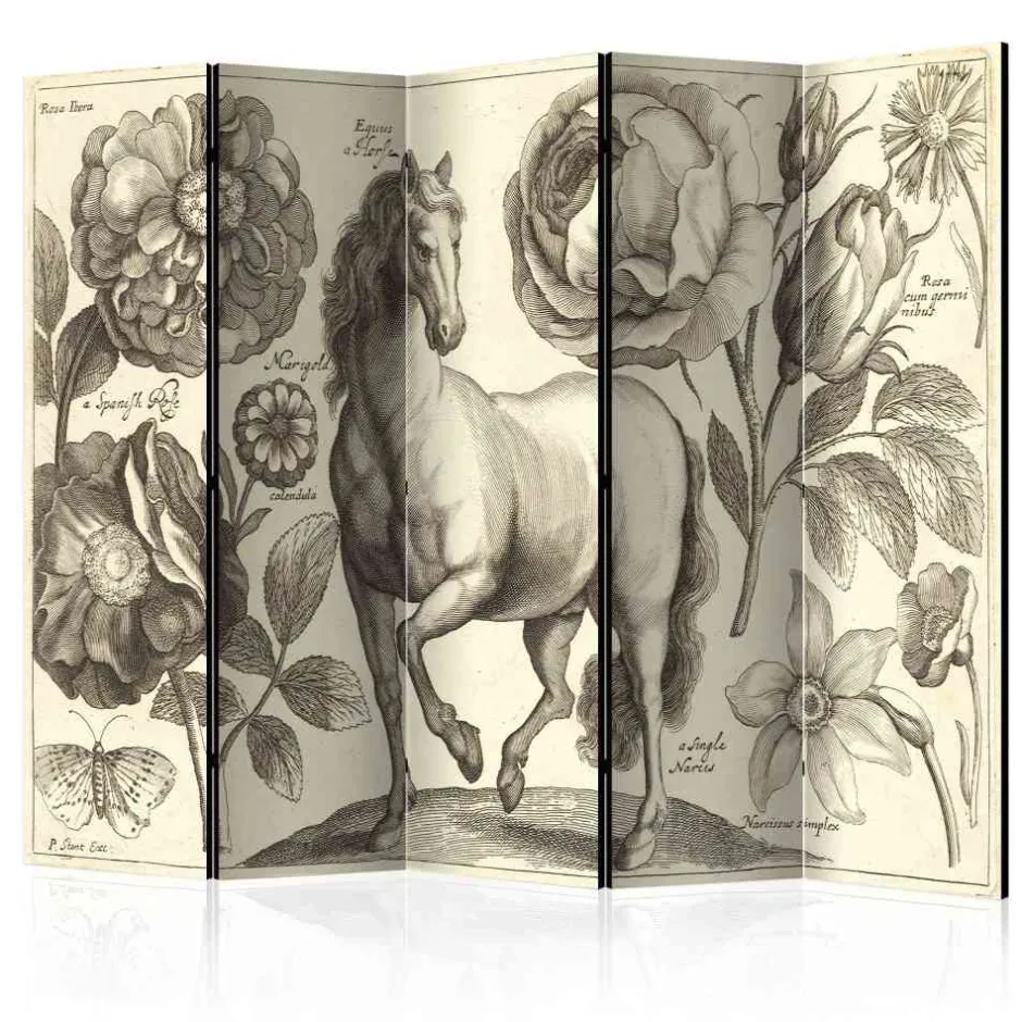 Paravents|Raumteiler*Pharao24 Paravent Edance