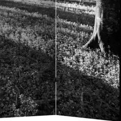 Paravents|Raumteiler*Pharao24 Paravent grau Mejan