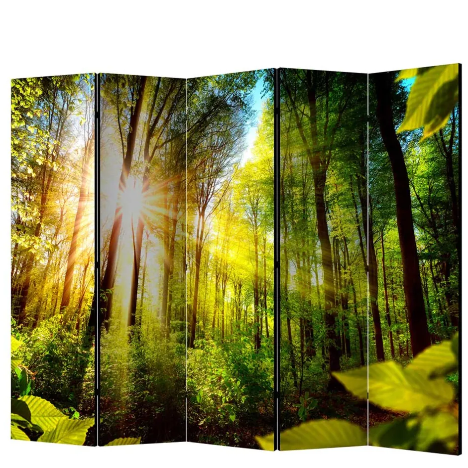 Pharao24 Paravent Raumteiler Florian> Paravents|Raumteiler