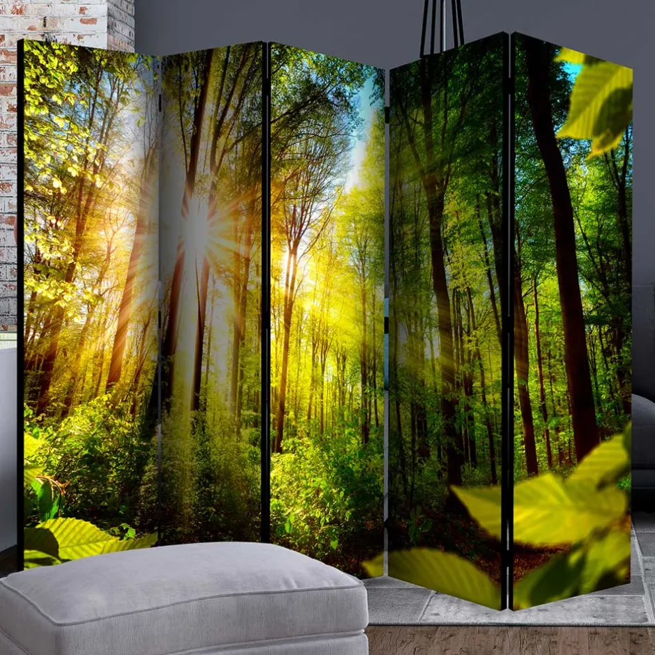 Pharao24 Paravent Raumteiler Florian> Paravents|Raumteiler