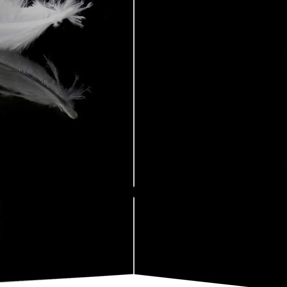 Paravents|Raumteiler*Pharao24 Paravent Raumtrenner Salzburg