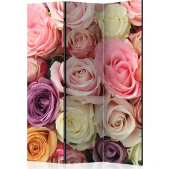 Pharao24 Paravent Umkleide Intiatos><noscript><img width=