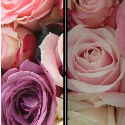 Pharao24 Paravent Umkleide Intiatos><noscript><img width=