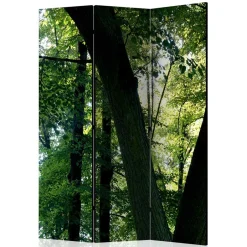 Raumteiler|Paravents*Pharao24 Paravent Wald Samsia