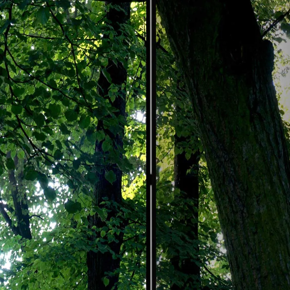 Raumteiler|Paravents*Pharao24 Paravent Wald Samsia