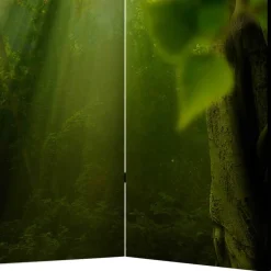 Paravents|Raumteiler*Pharao24 Paravent Waldmotiv Ramia