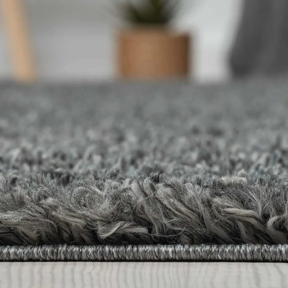 Pharao24 Placer> Teppiche