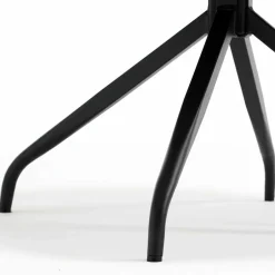 Hochlehner|Lederstühle*Pharao24 Polsterstühle Florynn