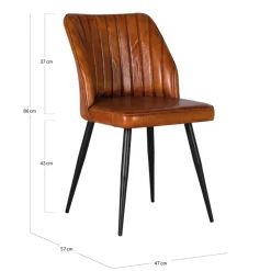 Lederstühle*Pharao24 Polsterstuhl Cosimo