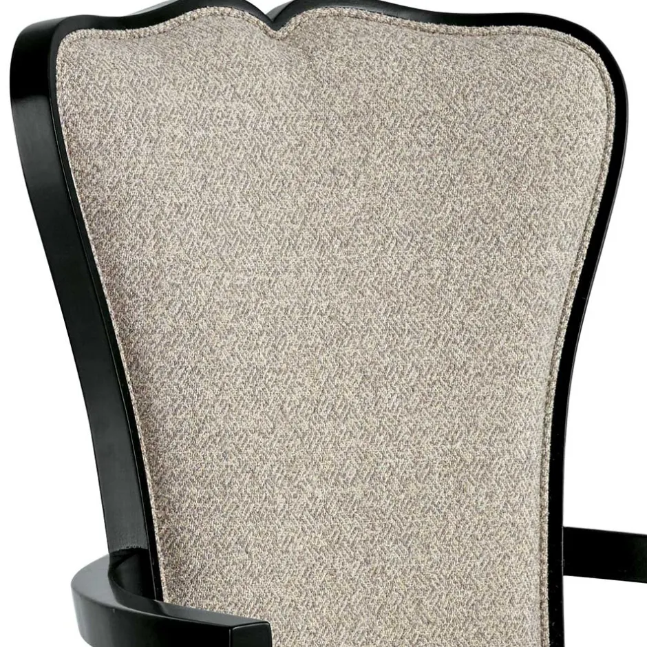 Pharao24 Premium Armlehnstuhl Fayora> Hochlehner|Armlehnstühle