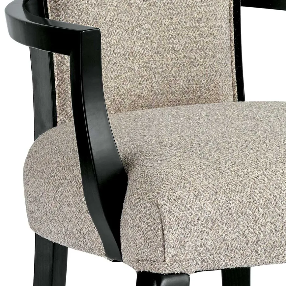 Pharao24 Premium Armlehnstuhl Fayora> Hochlehner|Armlehnstühle