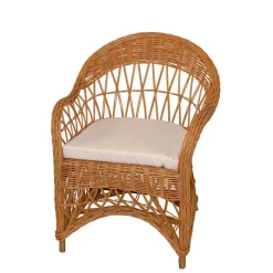 Wohnzimmer Sessel*Pharao24 Rattansessel Honigfarben Swington