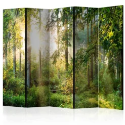 Paravents|Raumteiler*Pharao24 Raumteiler Paravent Remote