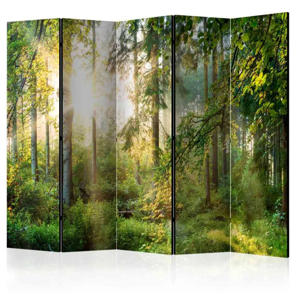 Paravents|Raumteiler*Pharao24 Raumteiler Paravent Remote