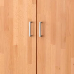 Büroschränke|Aktenschränke*Pharao24 Schrank Büro Massivholz Len