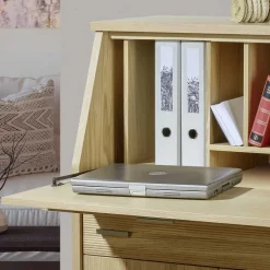 Sekretäre*Pharao24 Schranksekretär Ciango