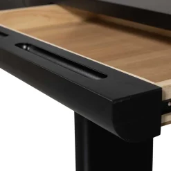 Computertische|Jugendschreibtische*Pharao24 Schreibtisch Guardia