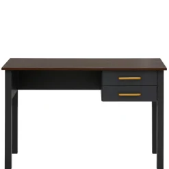 Pharao24 Schreibtisch Lysiena> Computertische|Jugendschreibtische