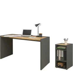 Schreibtische*Pharao24 Schreibtisch mit Regal Uzniana