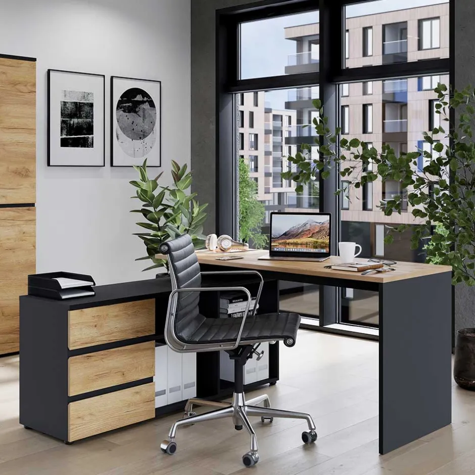 Pharao24 Schreibtisch mit Schrankelement Charin> Schreibtische|Computertische