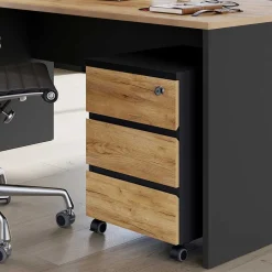 Büroschränke|Aktenschränke*Pharao24 Schreibtischrollcontainer Charin