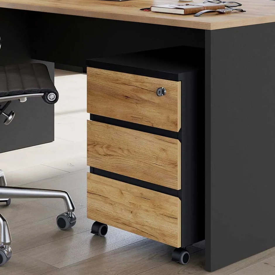 Büroschränke|Aktenschränke*Pharao24 Schreibtischrollcontainer Charin