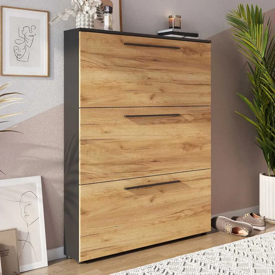 Schuhkipper|Schuhschränke*Pharao24 Schuhklappenschrank Remazion