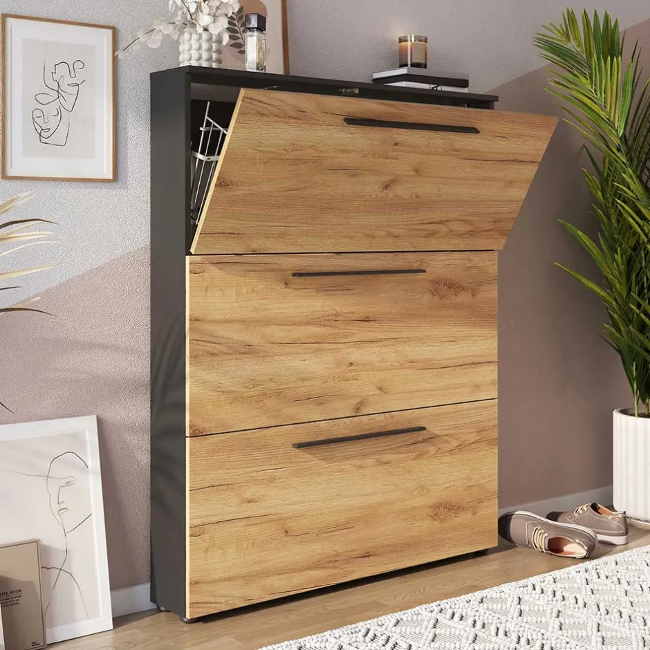 Schuhkipper|Schuhschränke*Pharao24 Schuhklappenschrank Remazion