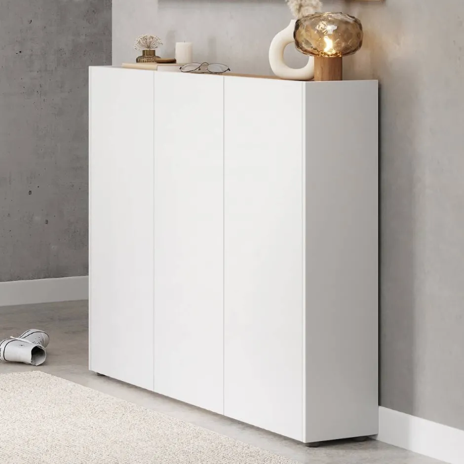 Schuhschränke*Pharao24 Schuhschrank Doinas