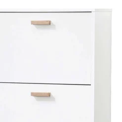 Schuhschränke*Pharao24 Schuhschrank Roosenia