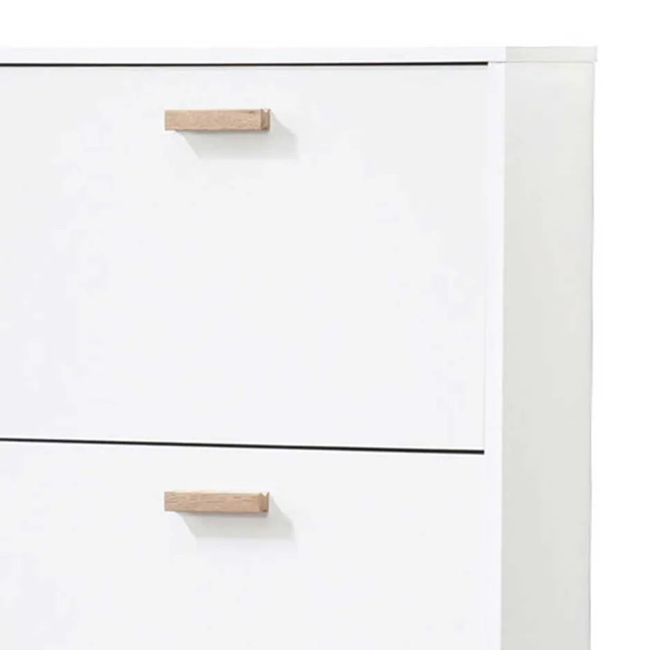 Schuhschränke*Pharao24 Schuhschrank Roosenia