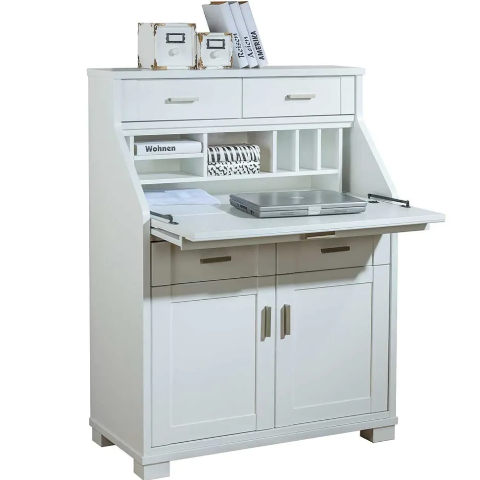 Pharao24 Sekretär Akita> Sekretäre