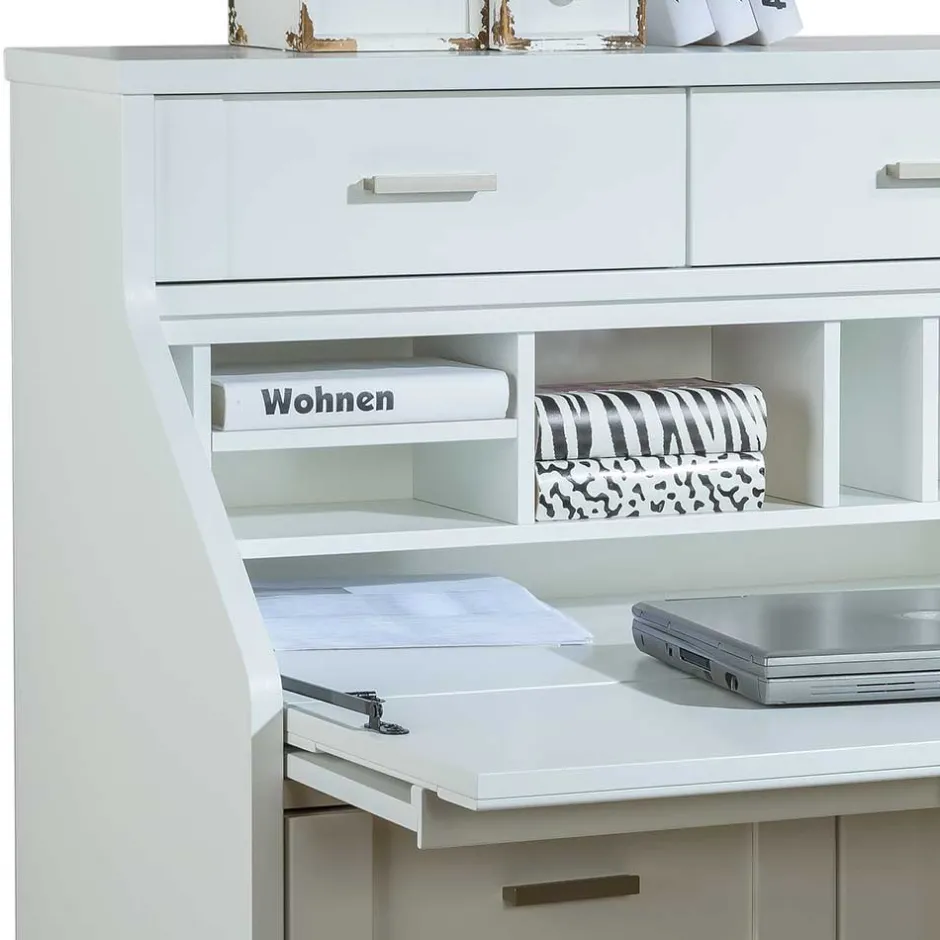 Pharao24 Sekretär Akita> Sekretäre