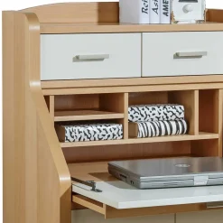 Sekretäre*Pharao24 Sekretär Dobrota