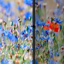 Pharao24 Sichtschutz Leaf><noscript><img width=