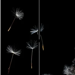 Pharao24 Sichtschutz Paravent Lutos><noscript><img width=