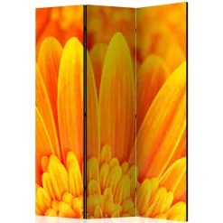 Paravents|Raumteiler*Pharao24 Sichtschutz Viraneos