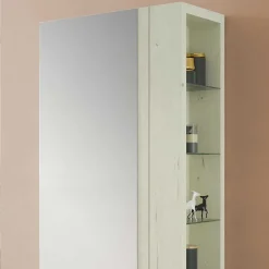 Schuhschränke*Pharao24 Spiegel Schuhschrank Zella